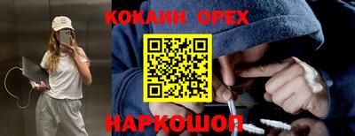 a pvp Будённовск